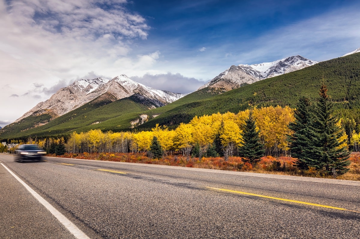 highway with yellow trees and mountains in Banff National Park