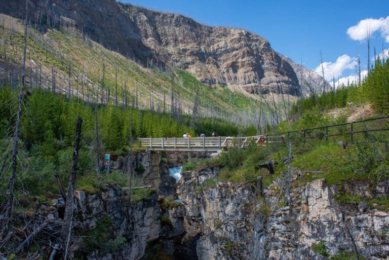 Kootenay National Park views