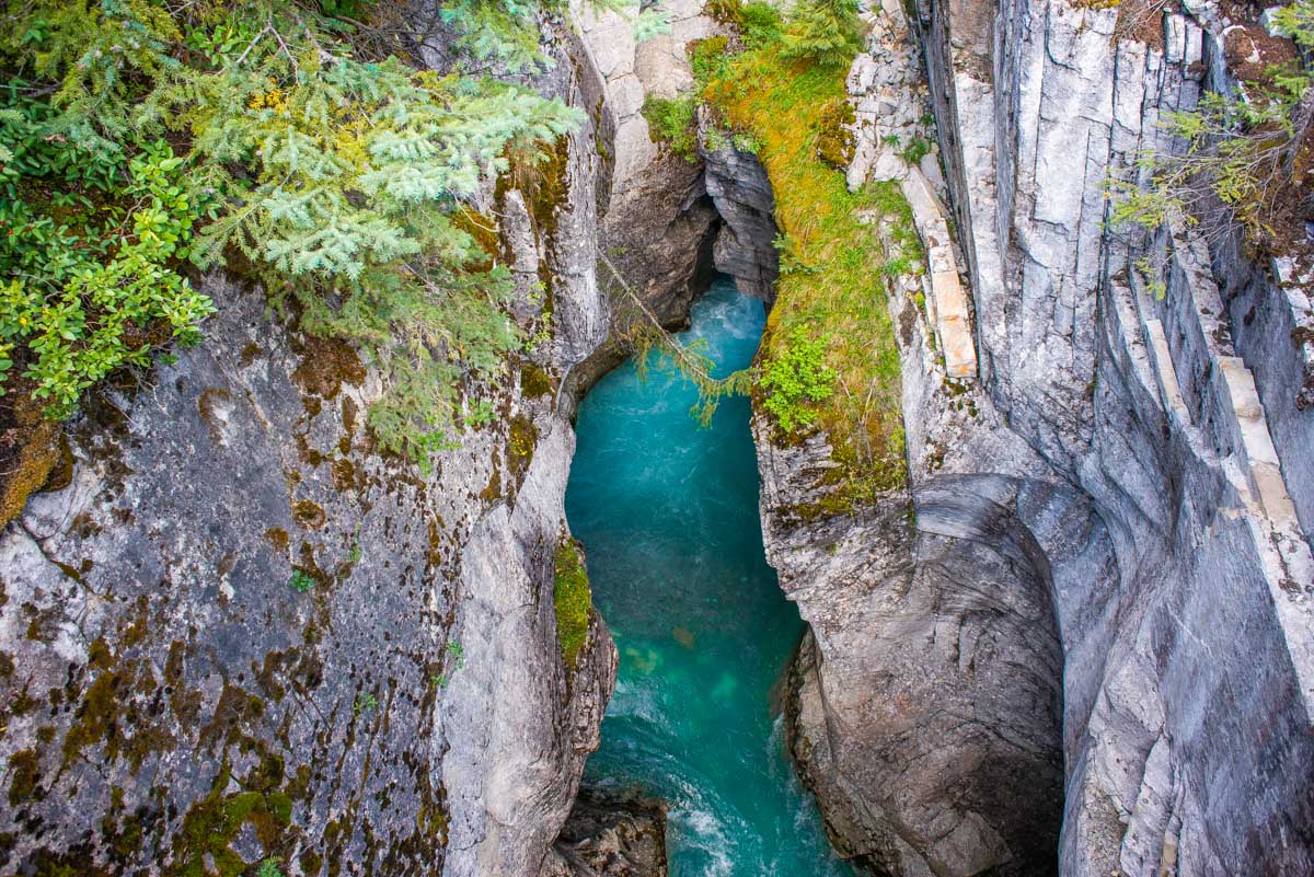looking down into MArble Canyon in Kootenay National Park