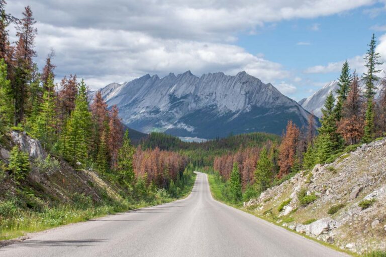 scenic road surrounded by mountains in JAsper National PArk