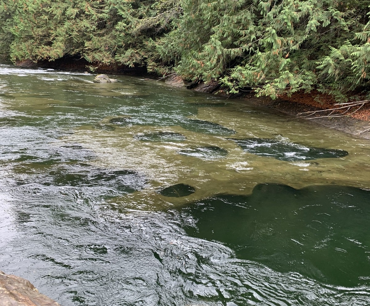view of the oyster Potholes