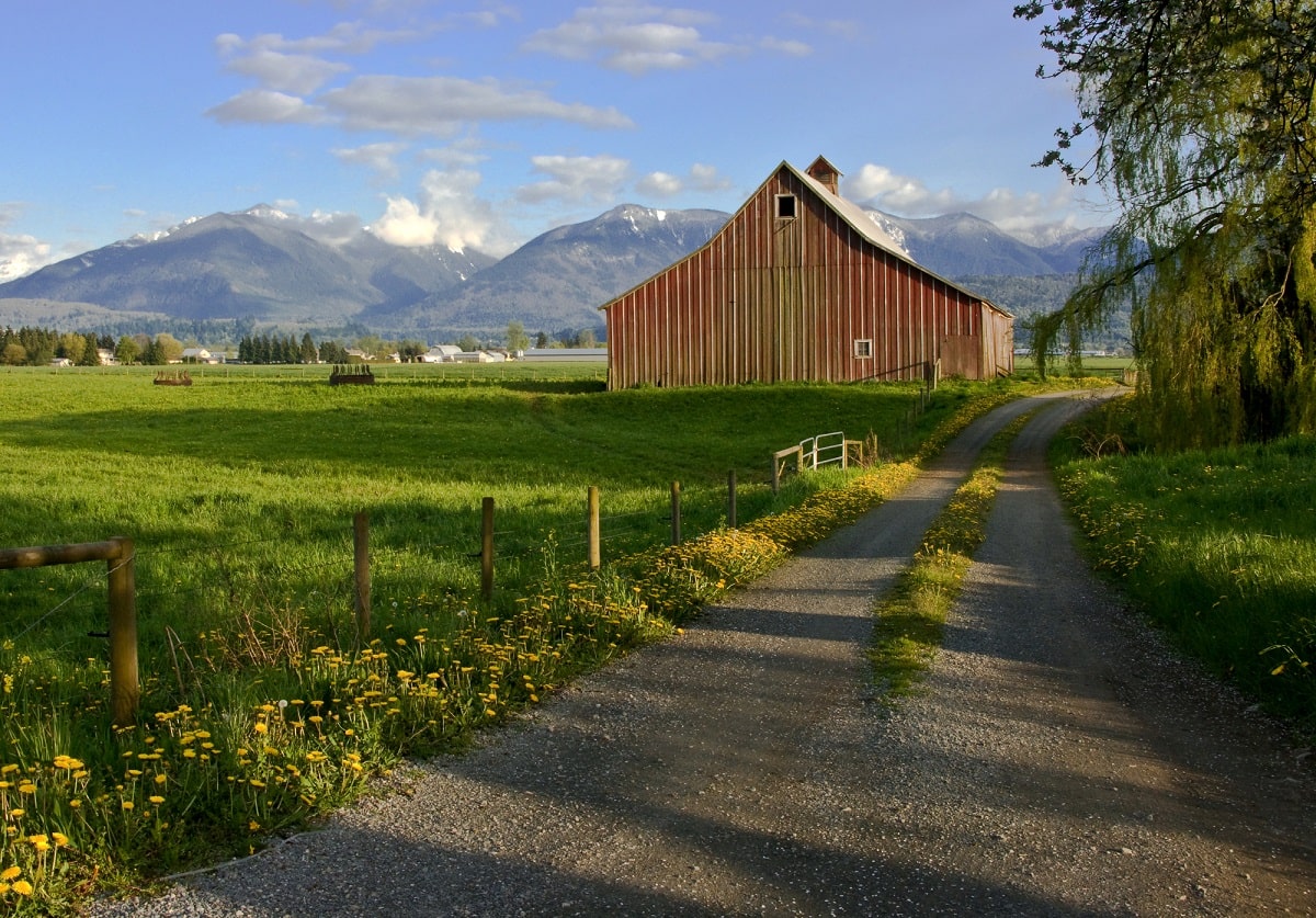 a farm with mountains in the background in Chilliwack, BC on the road between Vancouver and Hope