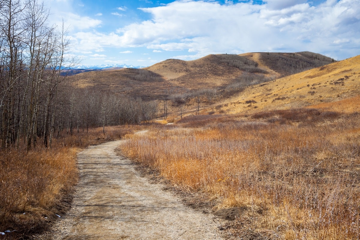 view from Glenbow Provincial Park