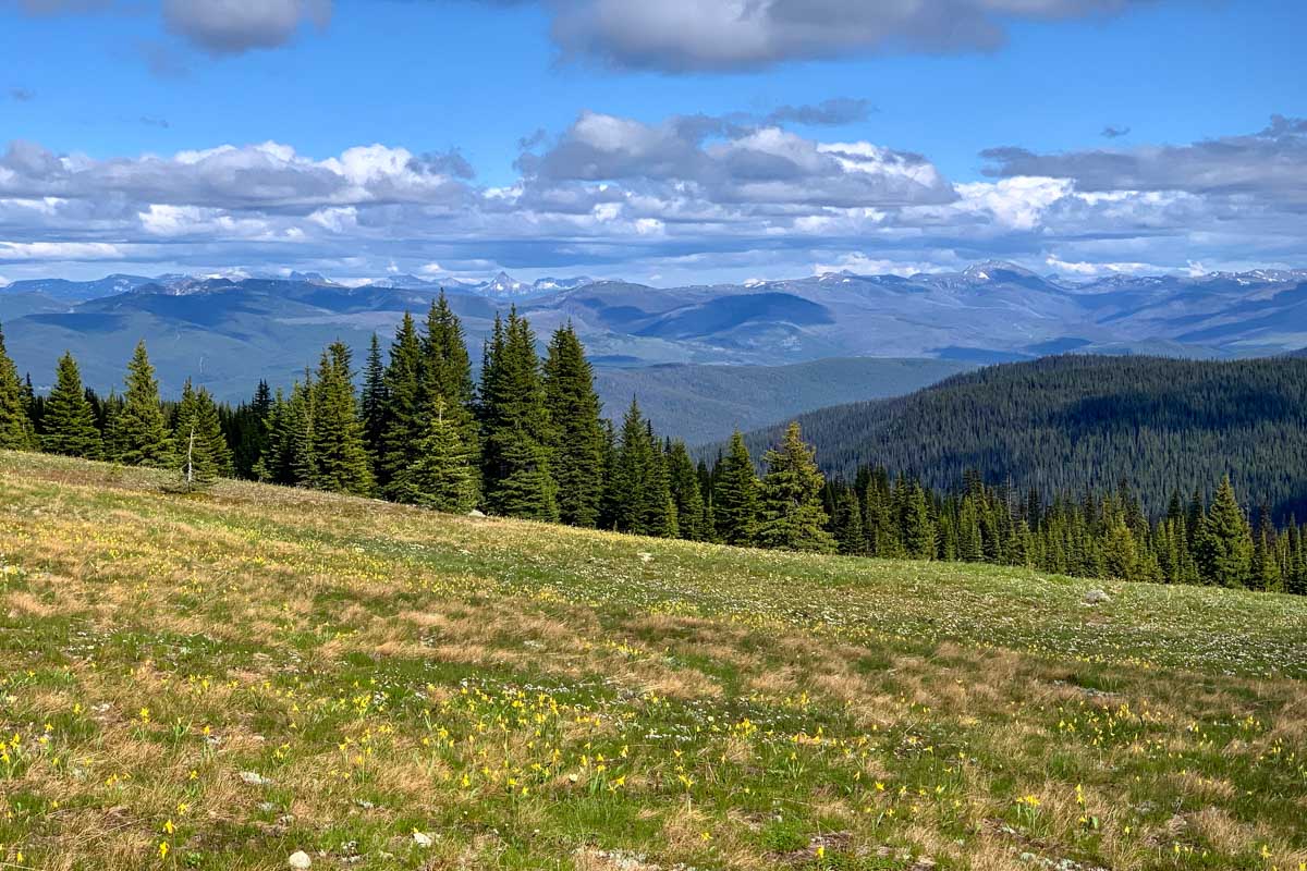 Gorgeous summer views in Manning Park, Hope
