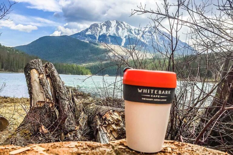 A coffee from Whitebark Cafe with a mountain backdrop in Banff National Park