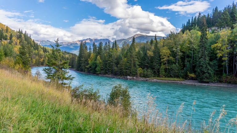 bright blue North Thompson River with pine trees along the drive from Kamloops to Jasper