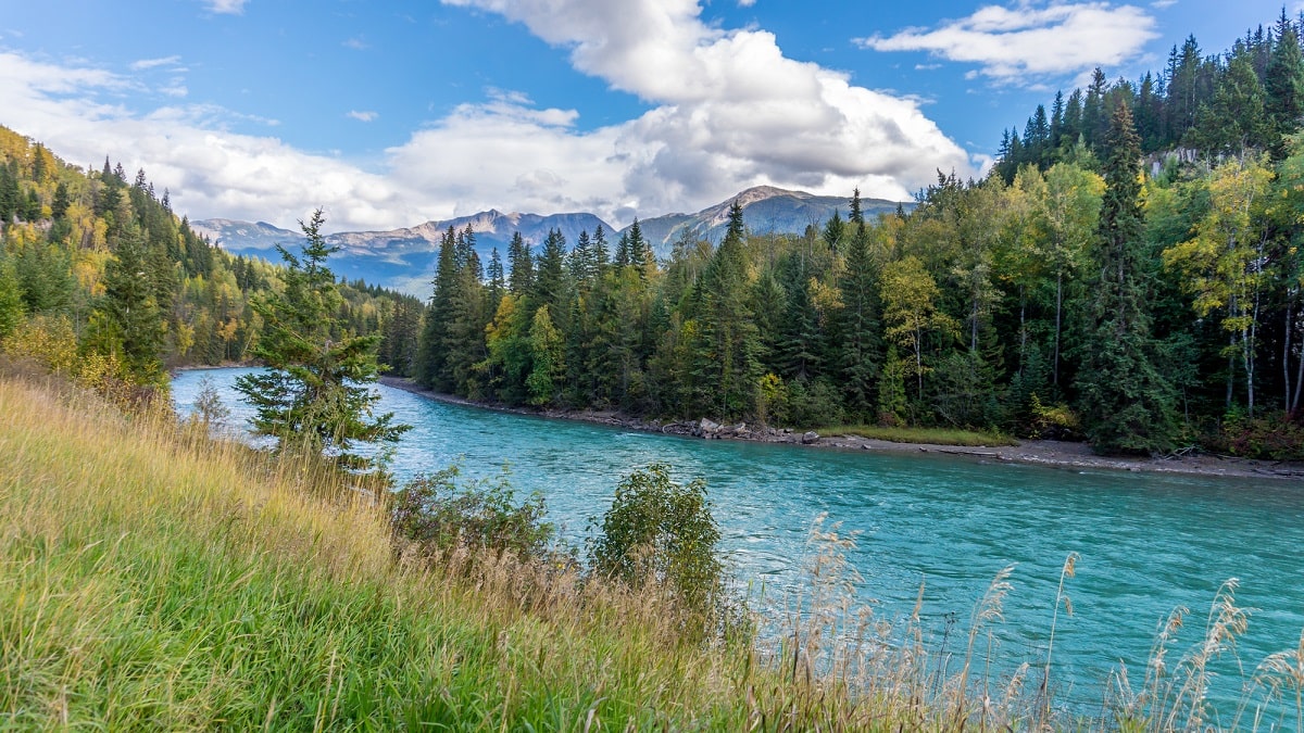 bright blue North Thompson River with pine trees along the drive from Kamloops to Jasper