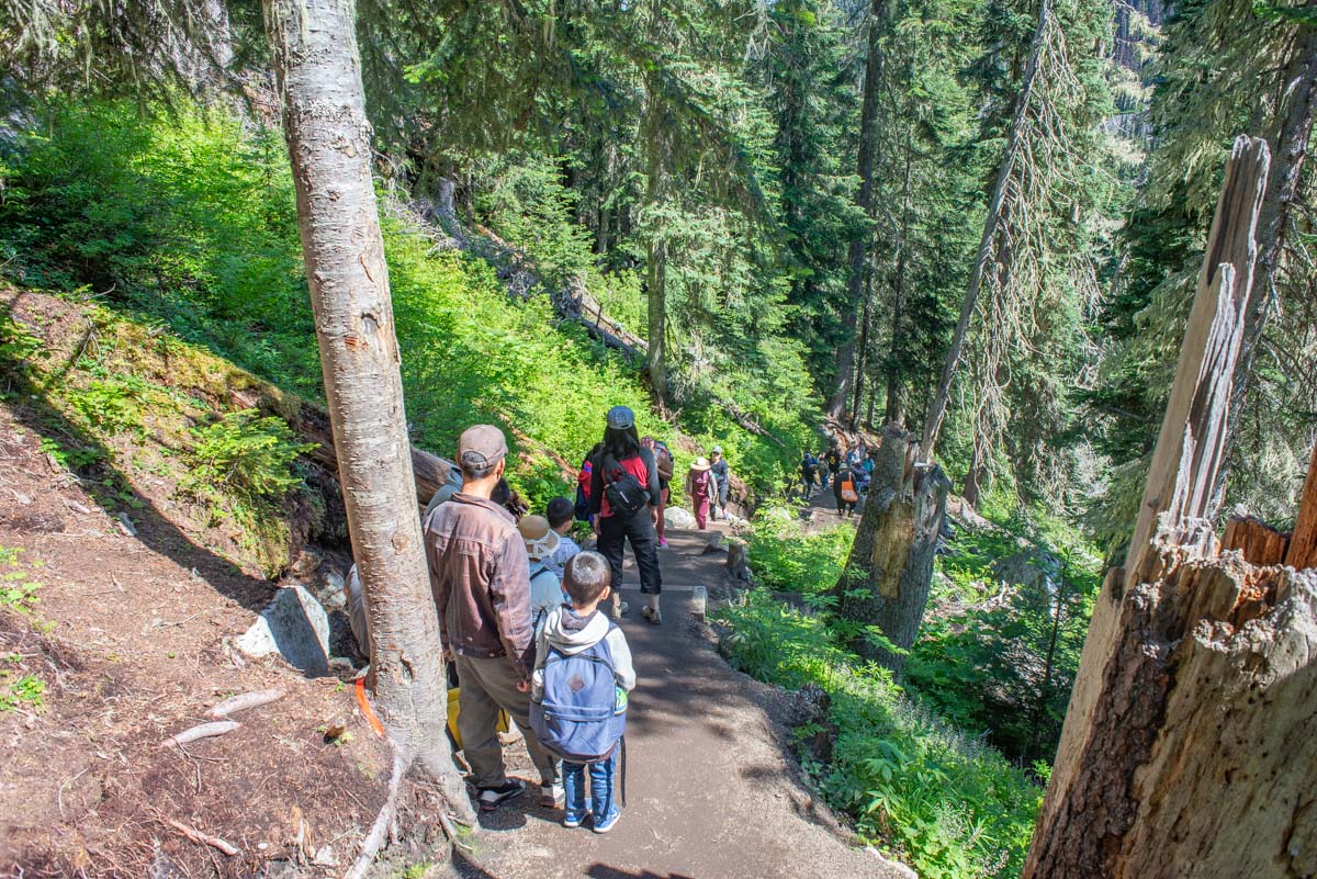 A crowd of people on the Joffre Lake Trail