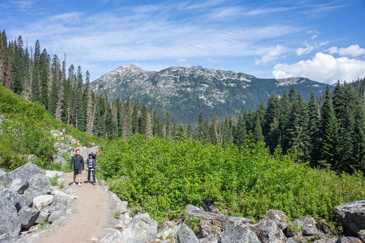 Beautiful views on the Joffre Lakes Trail