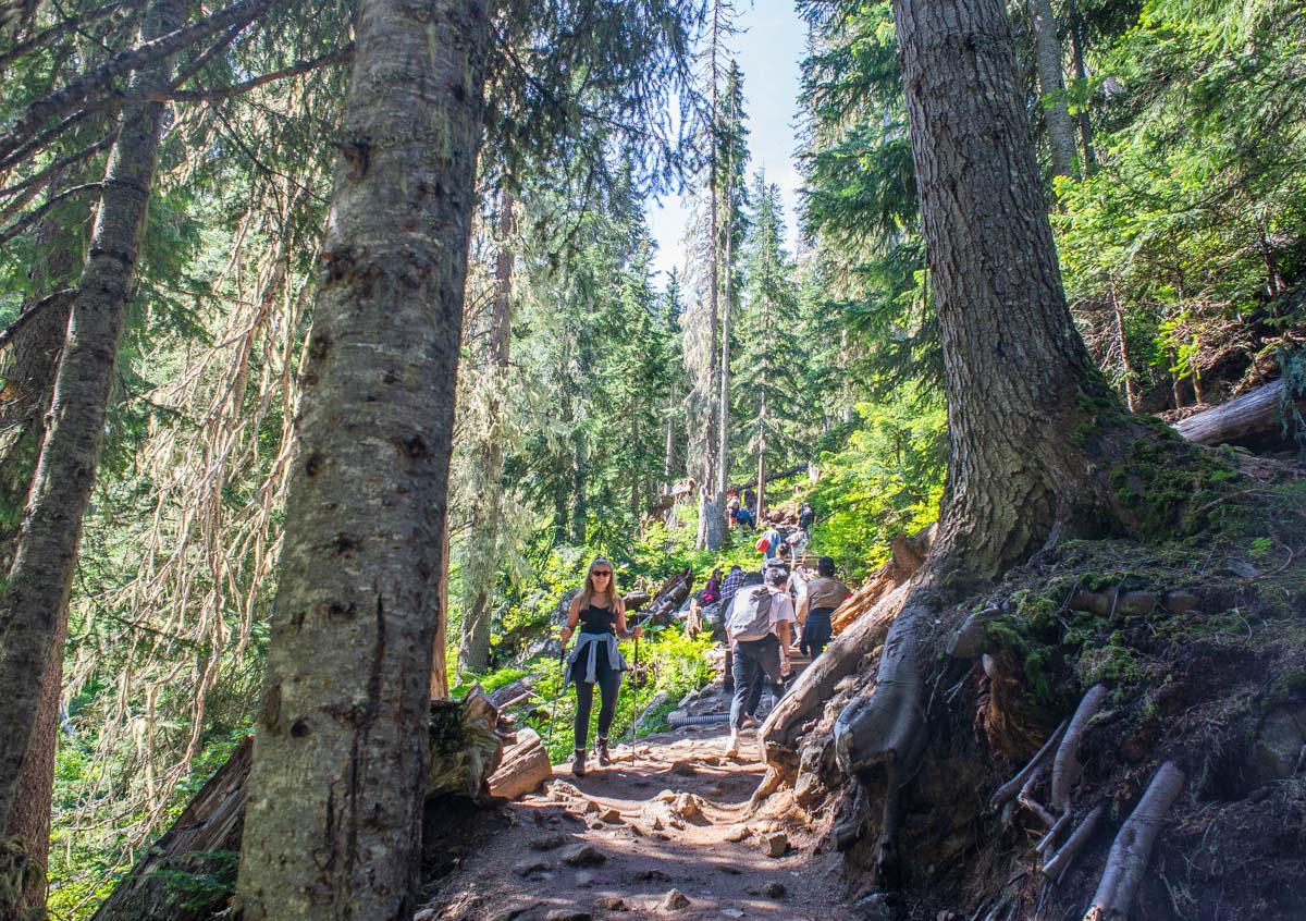 People hiking on the Joffre Lake Trail