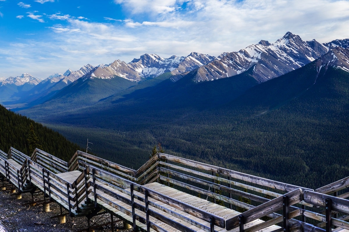 view from the top of the banff gondola in summer