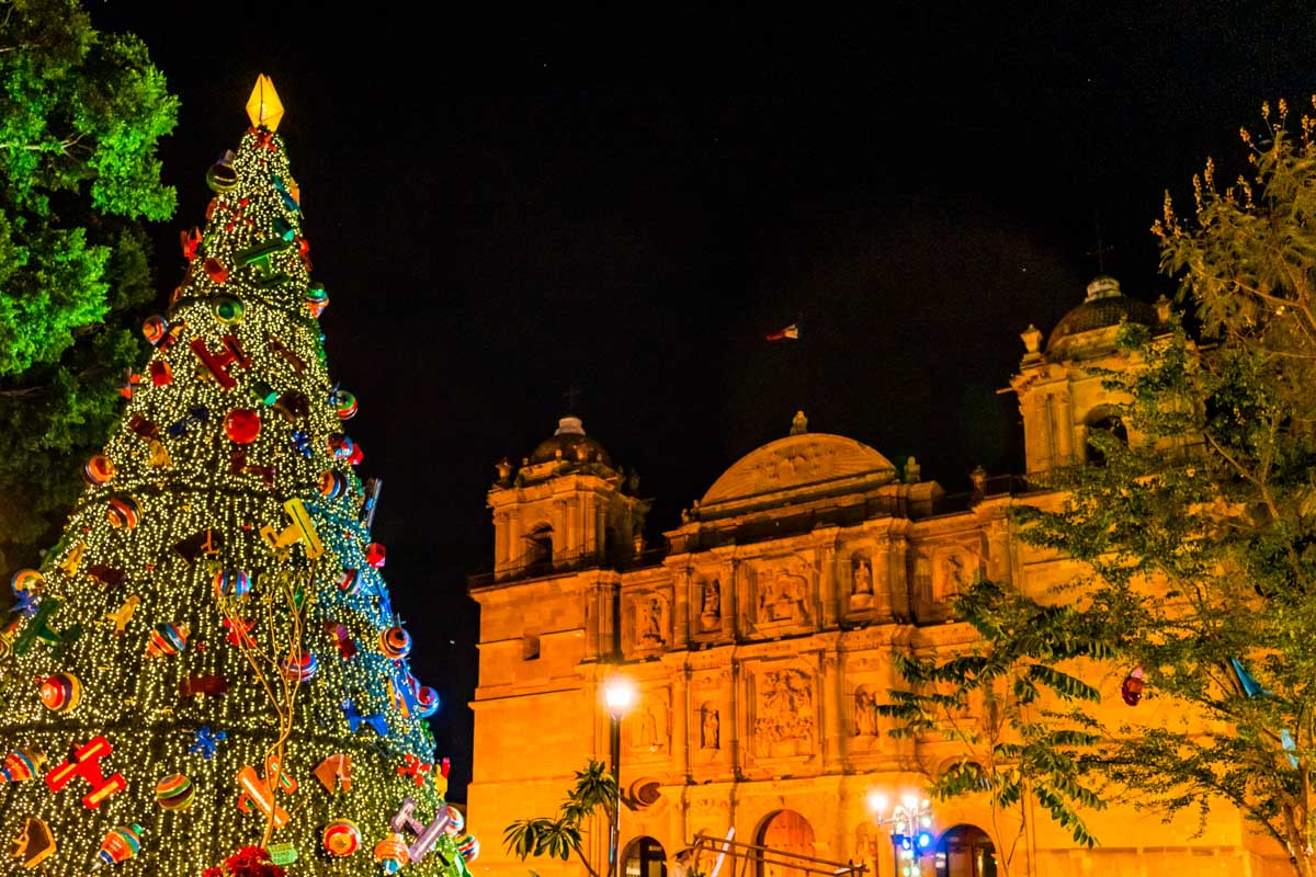 A Christmas tree stands in front of the Templo de Santo Domingo in Oaxaca, Mexico