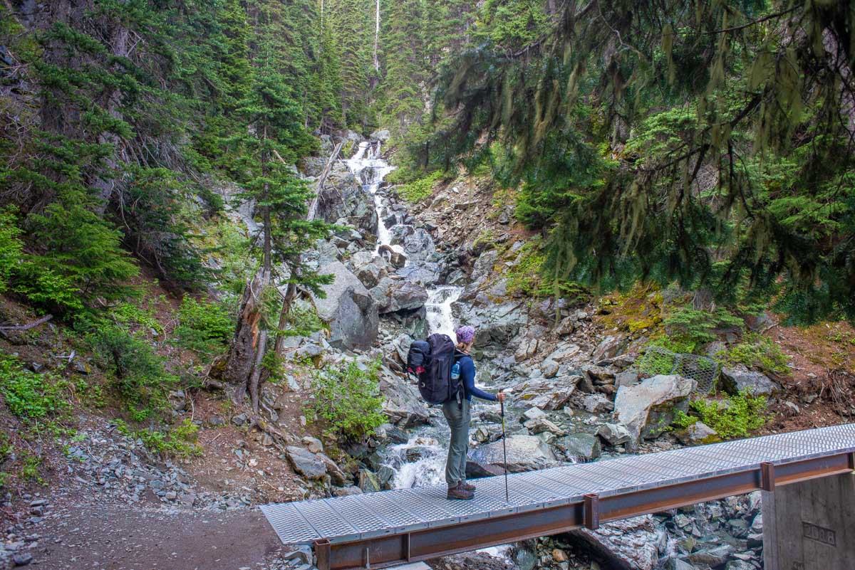 Bailey crosses a nridge over a stream on the way to Garibaldi Lake, Canada