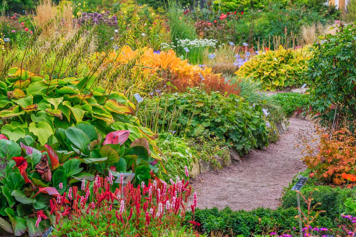 El Eden Botanical Garden in Bucerias, Mexico