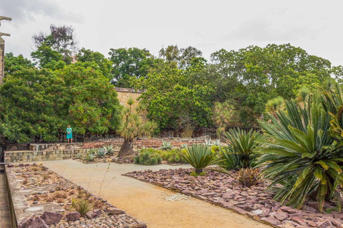 Jardin Etnobotanico de Oaxaca