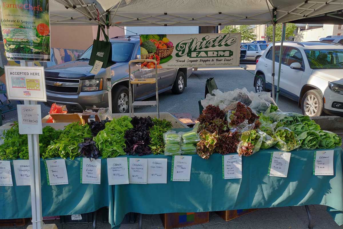 Fruit and veg from the Kamloops Farmers Market. Kamloops, BC