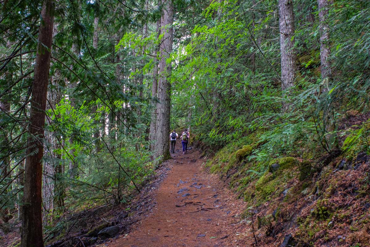 The Rubble Creak trail on the way to Garibaldi Lake, British Columbia, Canada