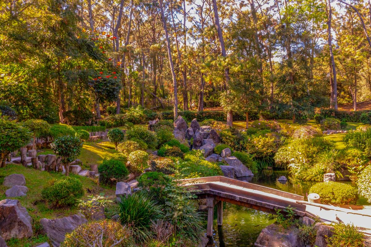 A garden at Bosque Los Colomos , Guadalajara, Mexico