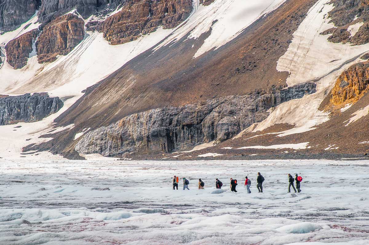 A tour group walk on the Athabasca Glacier in the Columbia Icefield on a trekking tour
