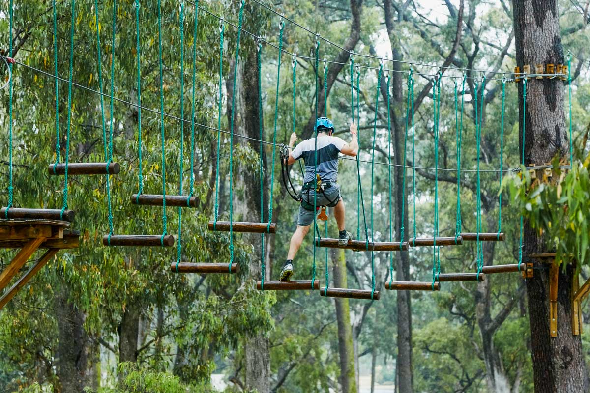 A man on the Forest Adventures South West