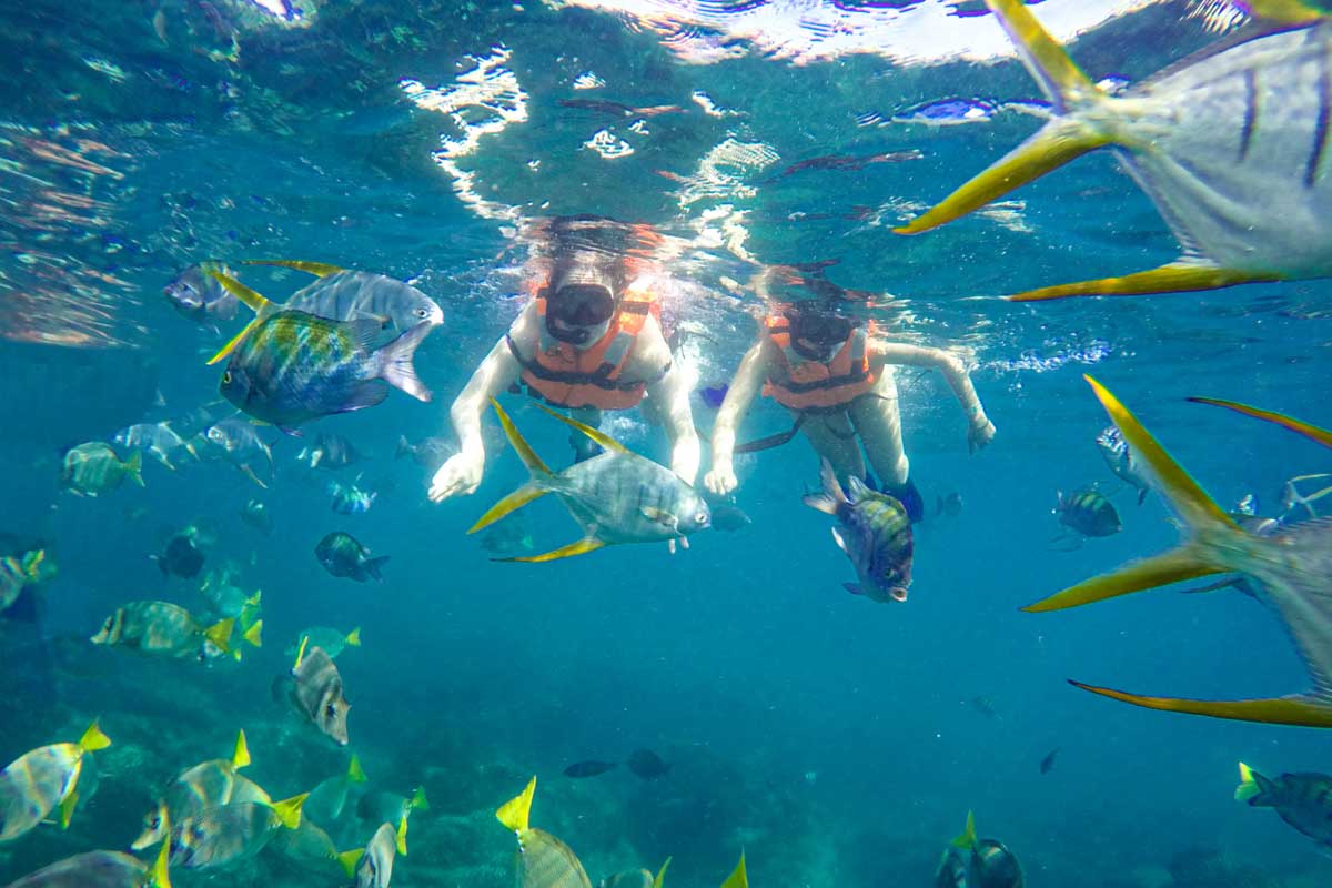 Snorkeling with Cabo Adventures in Cabo San Lucas