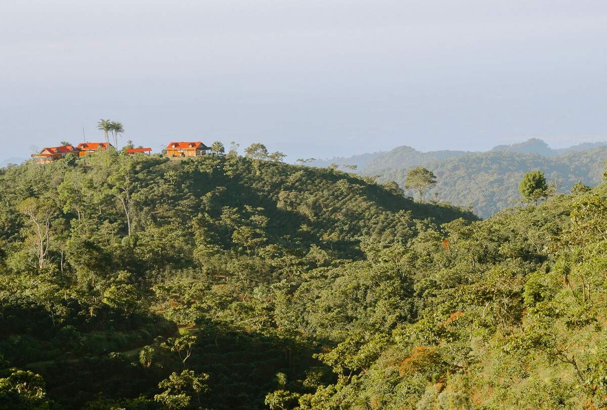 view of Finca Hamburgo in the distance
