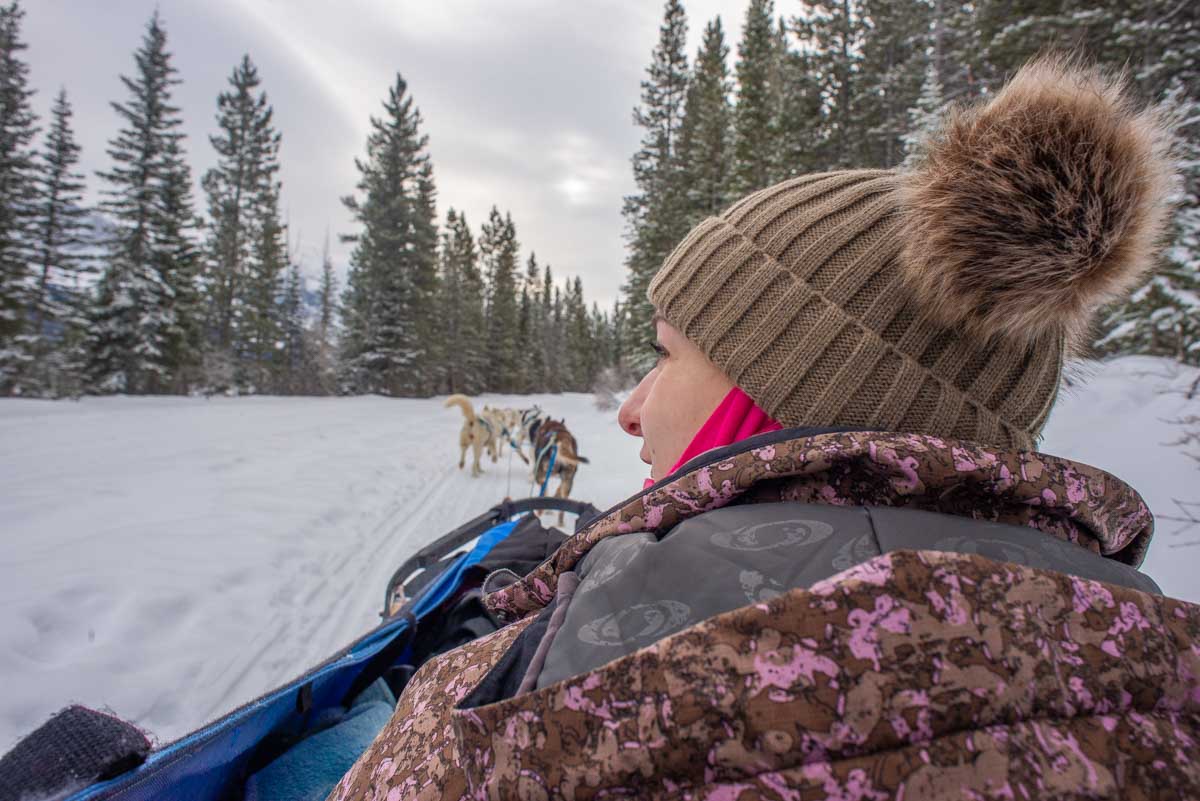 Dog sledding in Ushuaia, Argentina