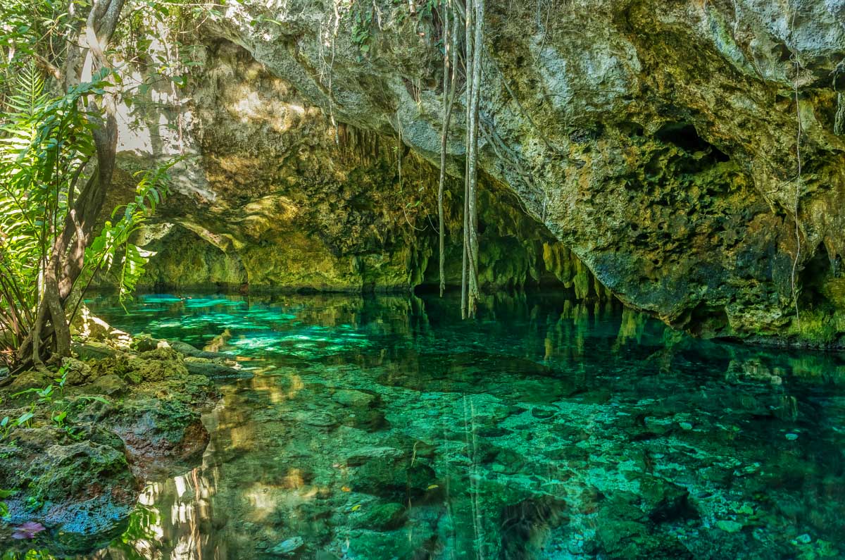 The cave and water of Gran Cenote, Tulum