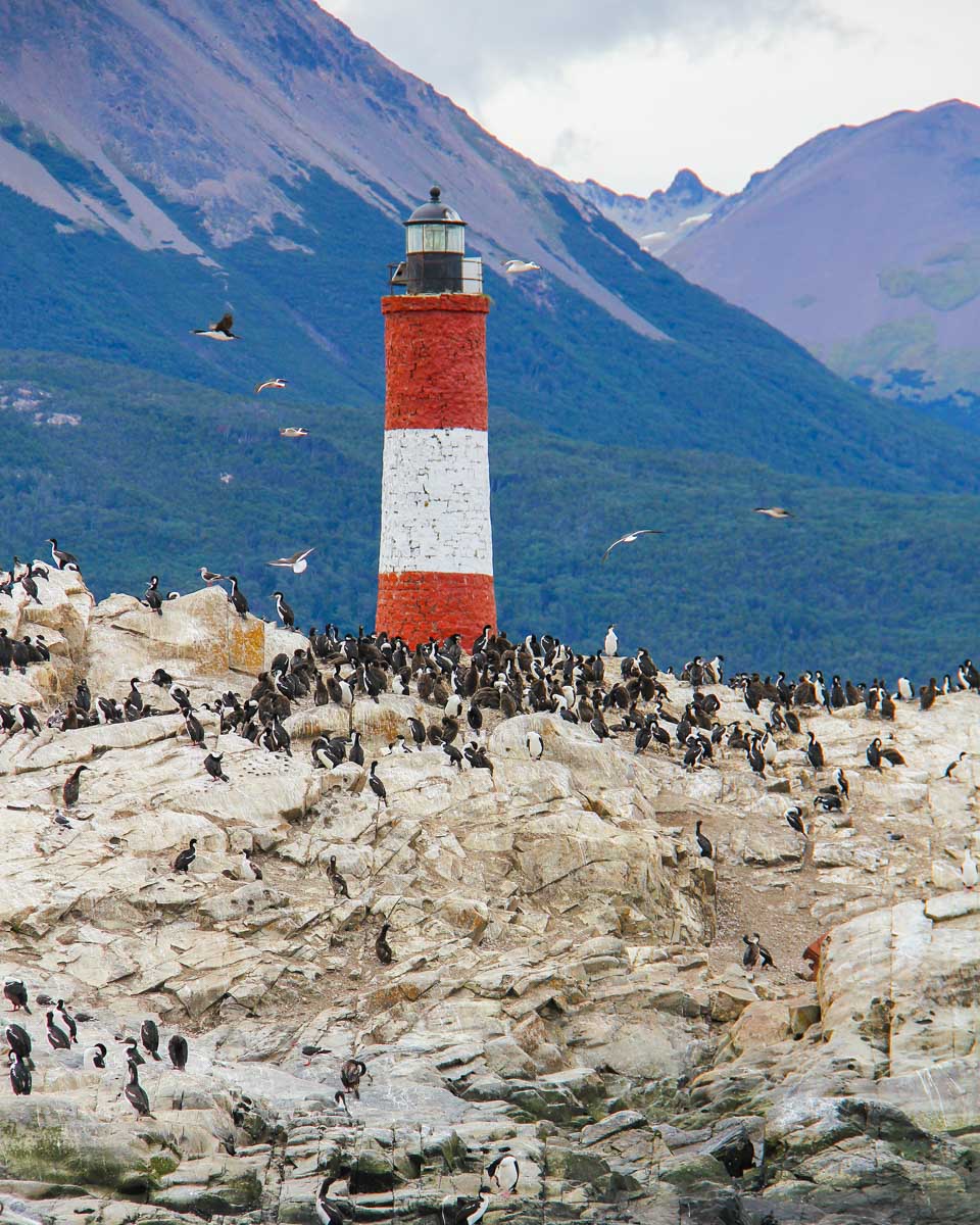 Lighthouse and penguins on the Beagle Channel near Ushuaia, Argentina