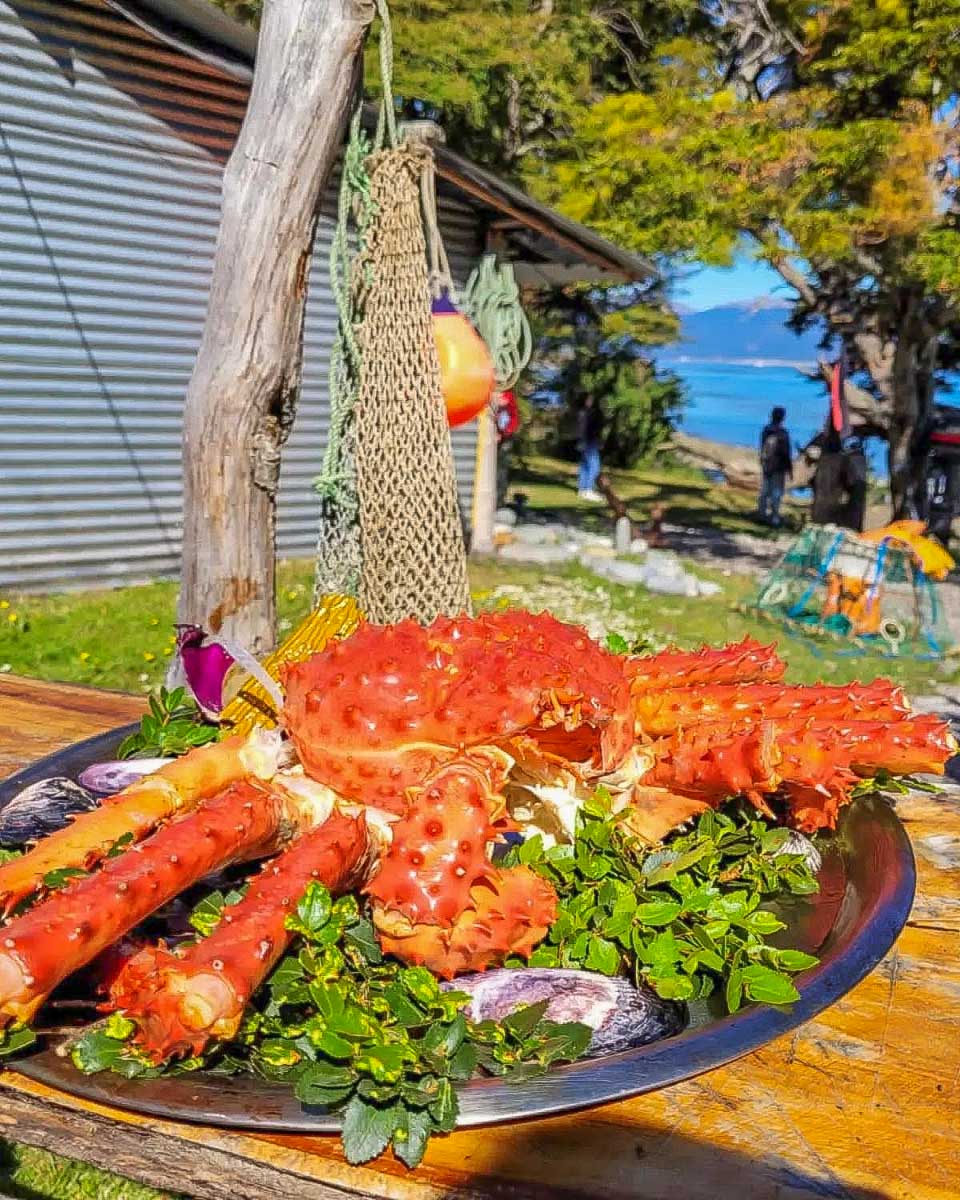 Puerto Pirata Spider Crab