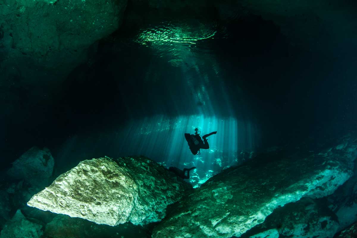 A man diving in Cenote Jardin del Eden, Mexico