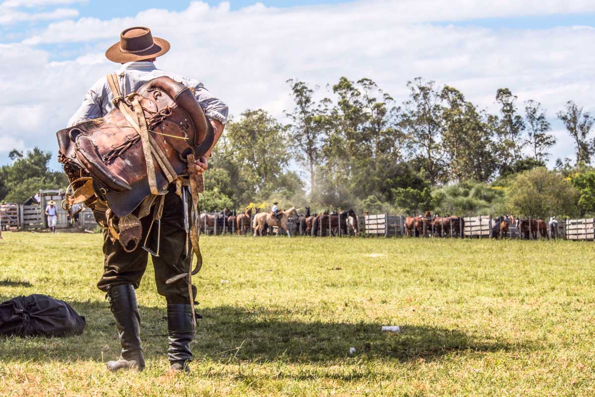 A Gaucho on a tour from Buenos Aires