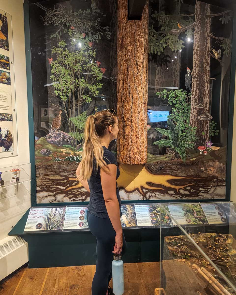 Bailey at the Lynn Canyon Ecology Center