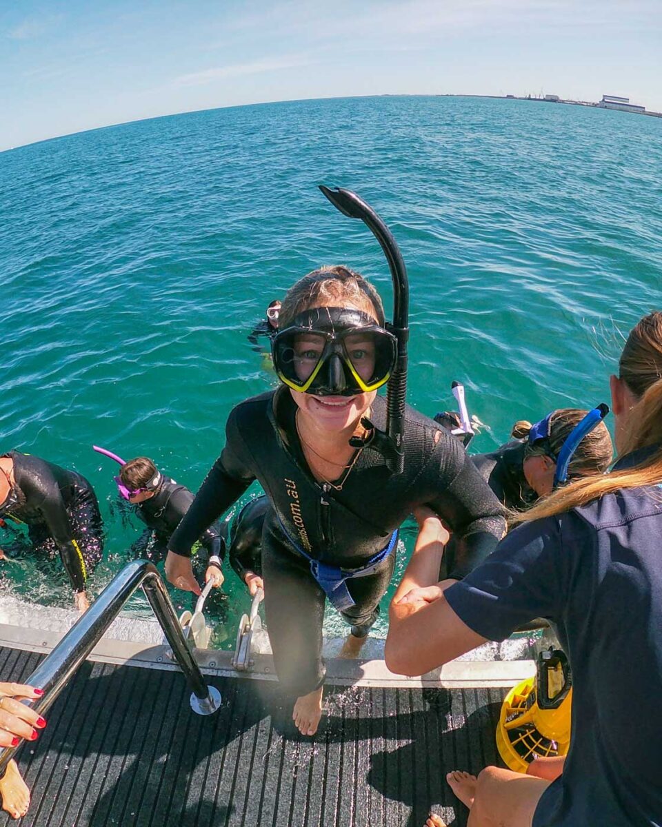 Bailey climbs out of the water during the dolphin swim in Perth, WA