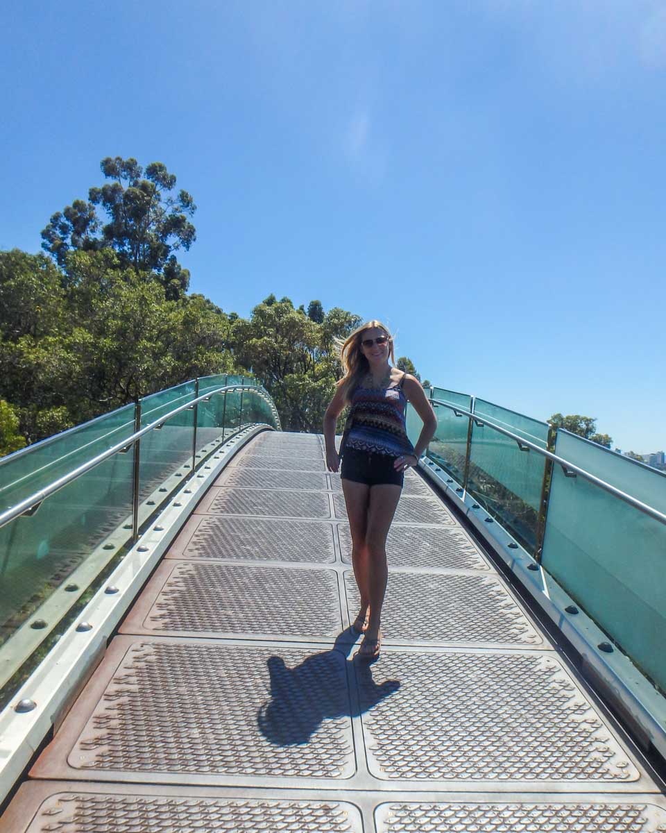 Bailey walks along the Lotterywest Federation Walkway through the treetops in Kings Park, Perth