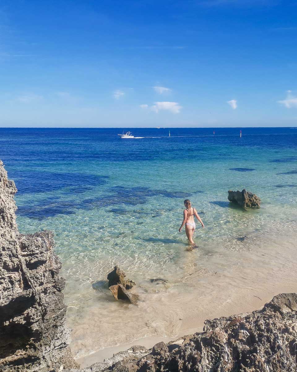 Bailey walks into the ocean on Carnac Island, Perth