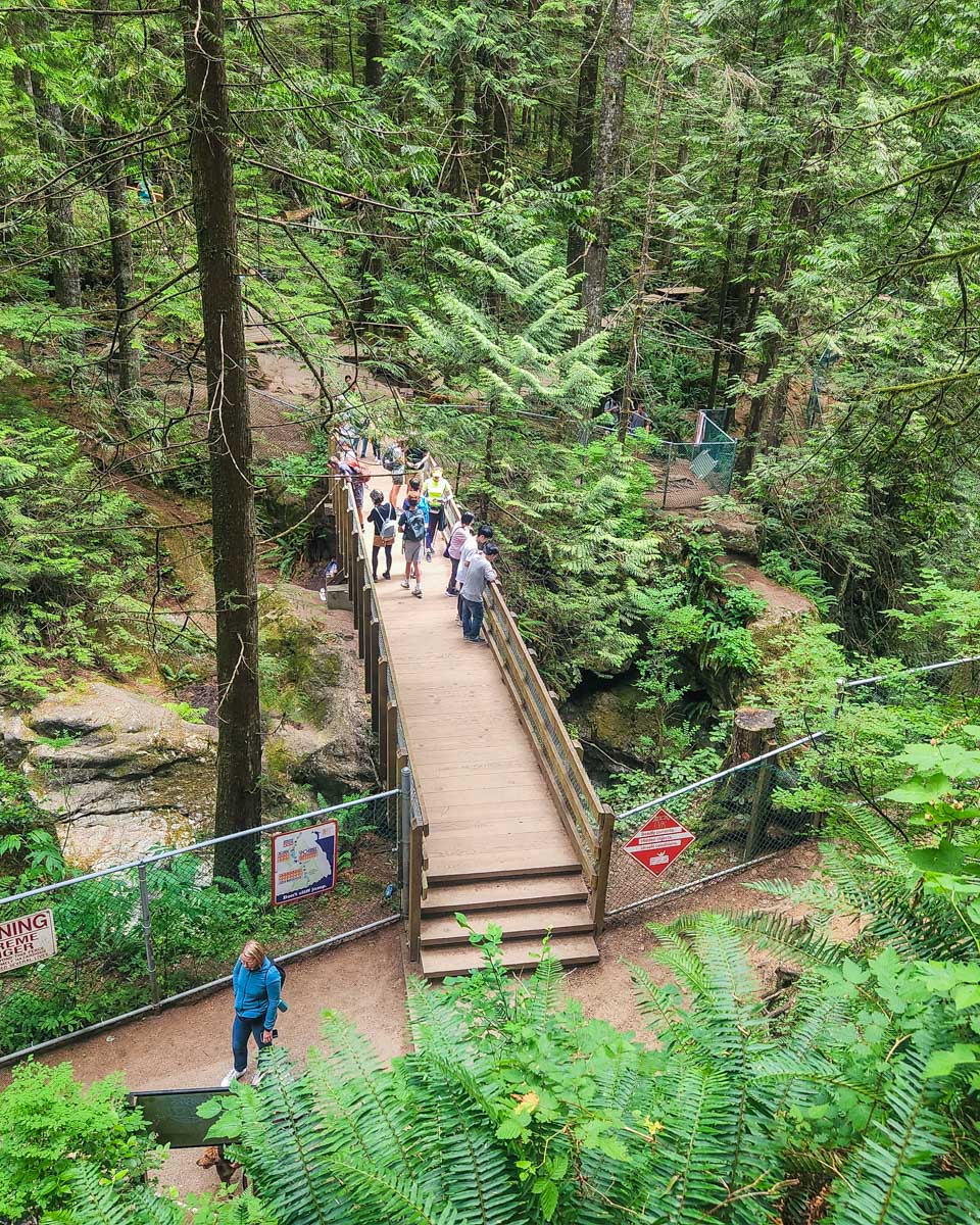 View of a bridge crossing Lynn Canyon, Vancouver