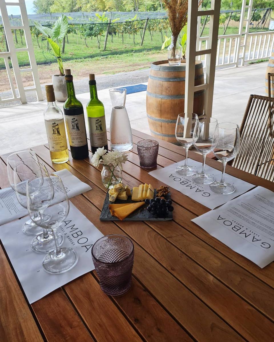 Wine tasting at Bodega Gamboa in Buenos Aires, Argentina