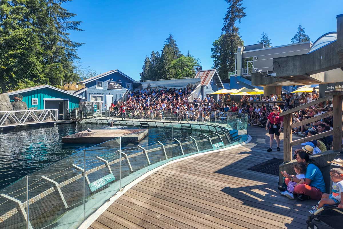 A seal show at the Vancouver Aquarium