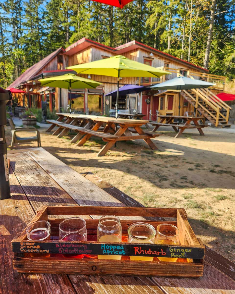 A tasting paddle at Salt Spring Wild Cider