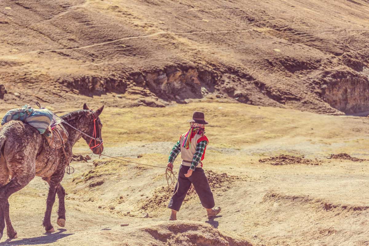A worker leads a donkey up Rainbow Mountain in Peru