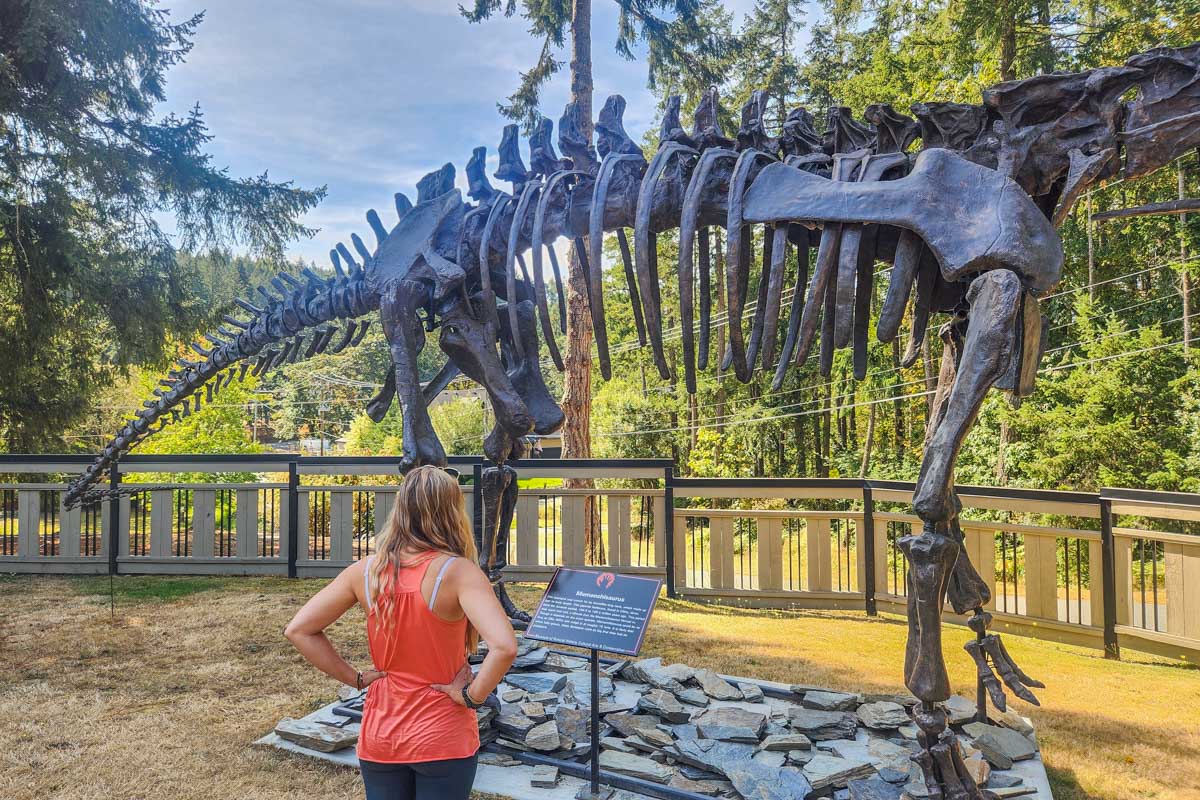 Bailey looks at a dinosaur display at the Hand of Man Museum in Duncan, BC