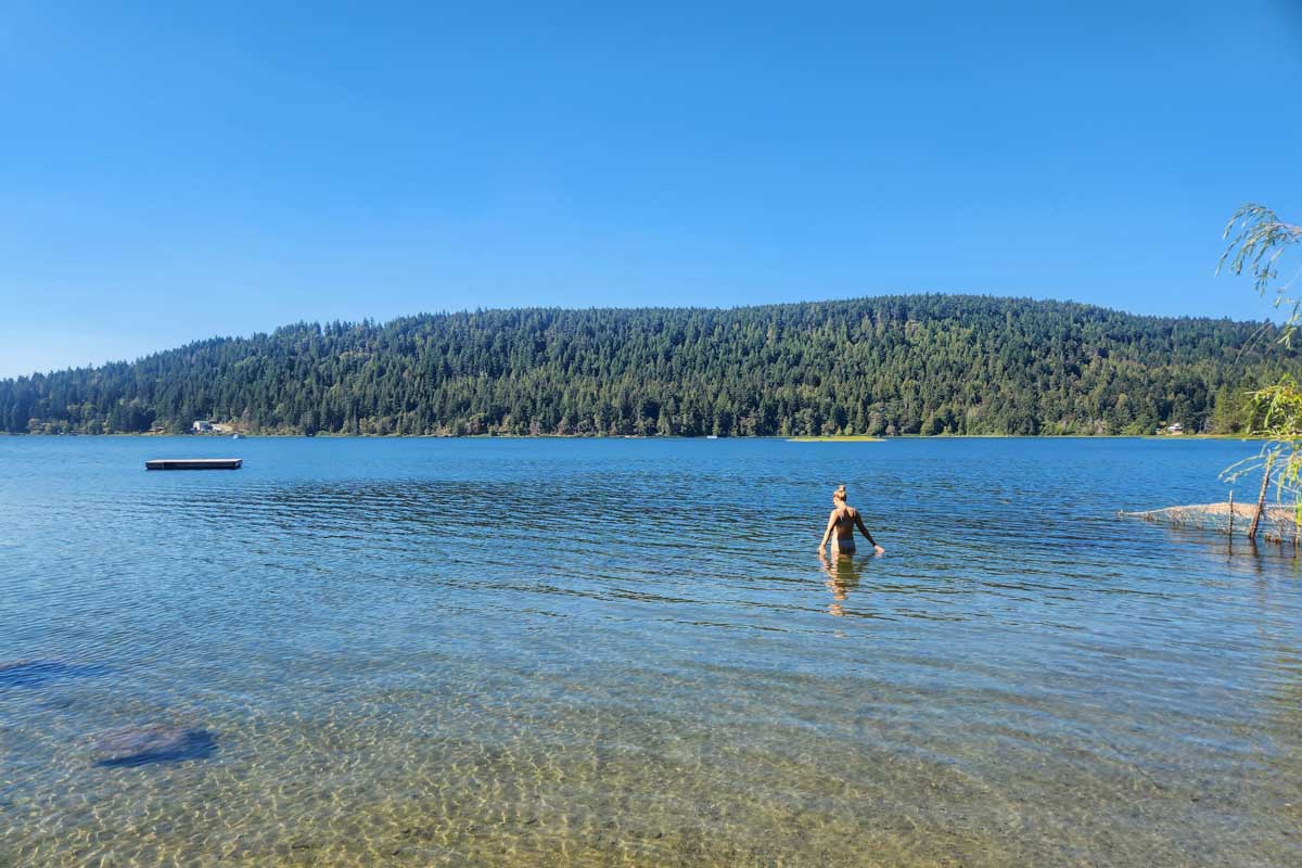 Bailey swims in St Mary Lake on Salt Spring Island