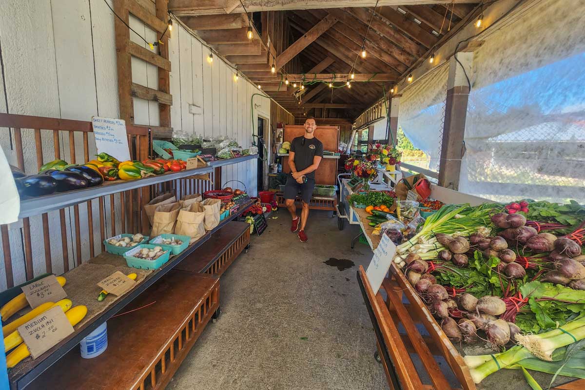 Daniel shops for produce at North End Farm on Salt Spring Island