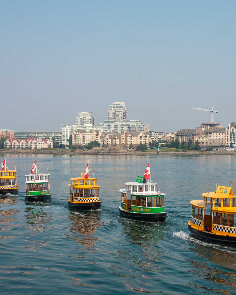 Five steam ships from the Steamship Water Ballet in Victoria BC