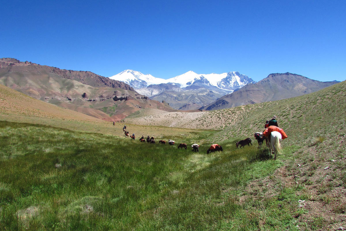 experience the Andes on horseback in Mendoza, Argentina