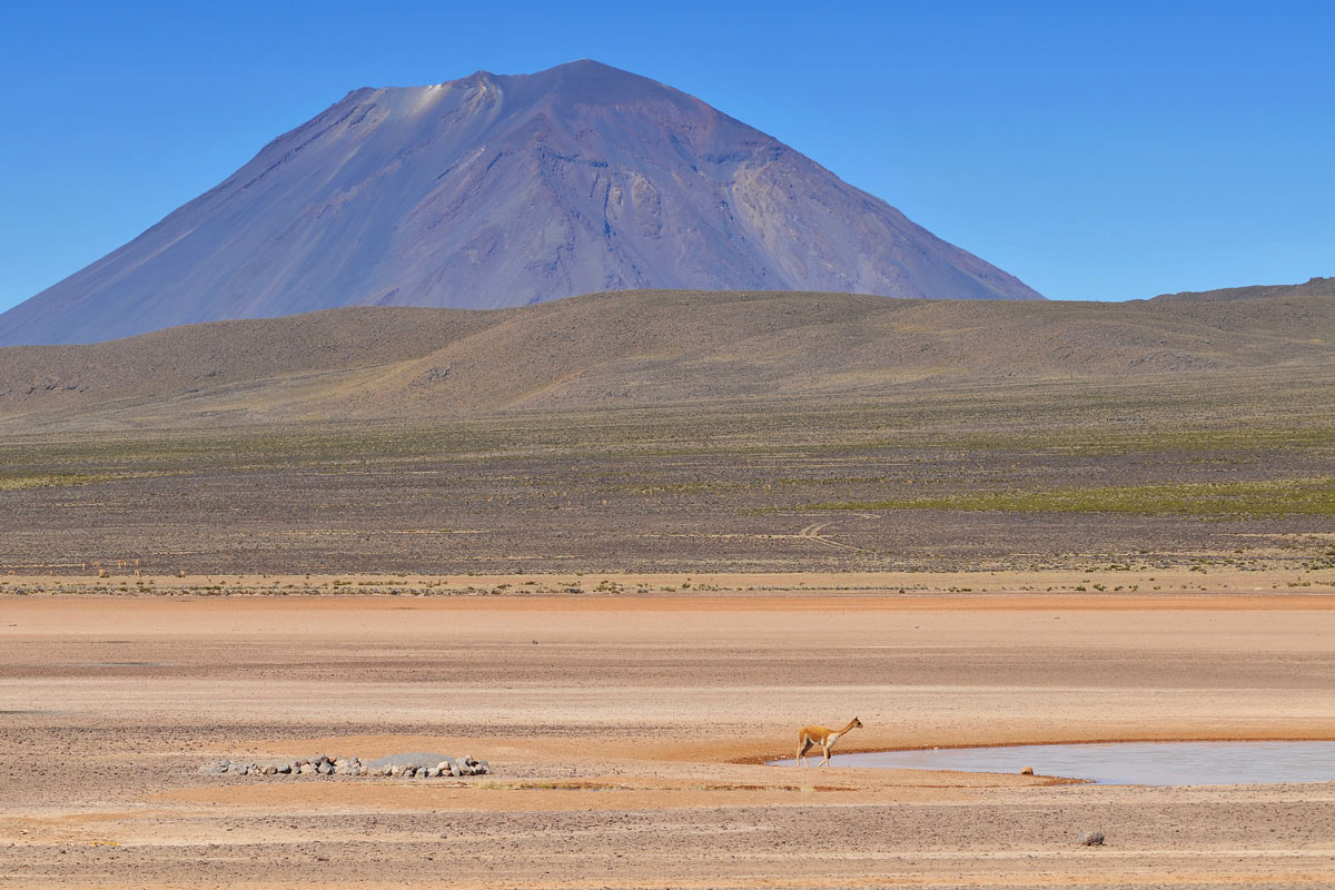 view of El Misty Volcano Salinas and Aguada Blanca National Reservation in Arequipa, Peru