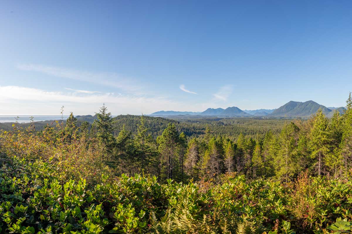 Scenic view from Radar Hill in Pacific Rim National Park near Tofino