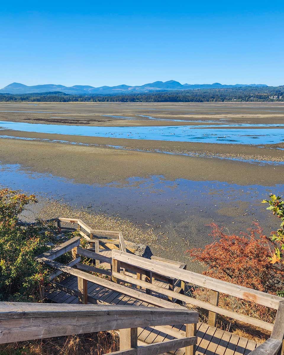 The staircase at Jack Point and Biggs Park in Nanaimo, BC
