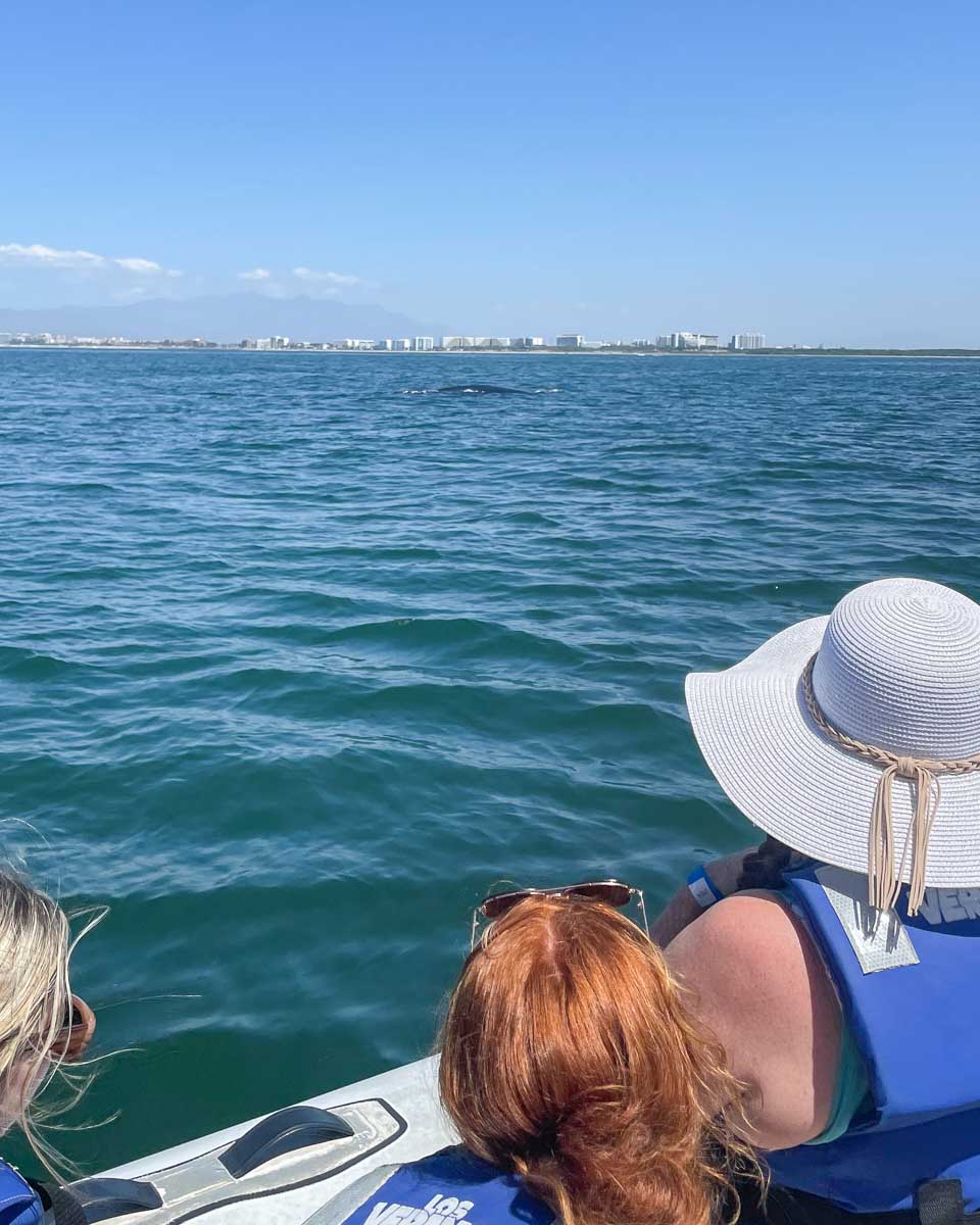Tourists look out from a small boat at a whale on a tour from Puerto Vallarta